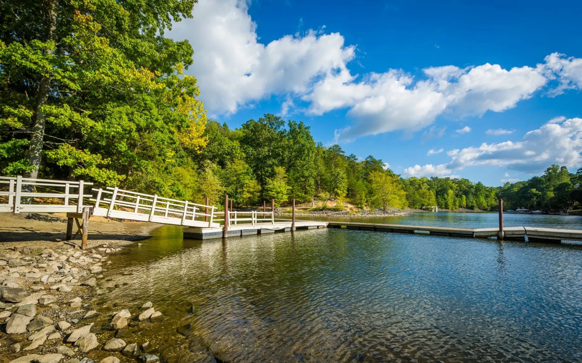 lake-wylie.jfif