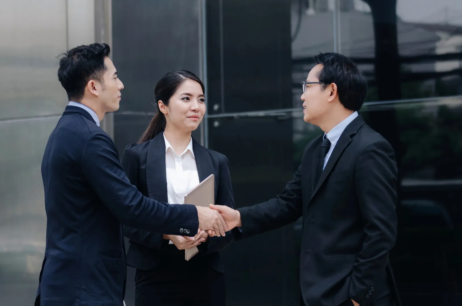 Professional Handshake
