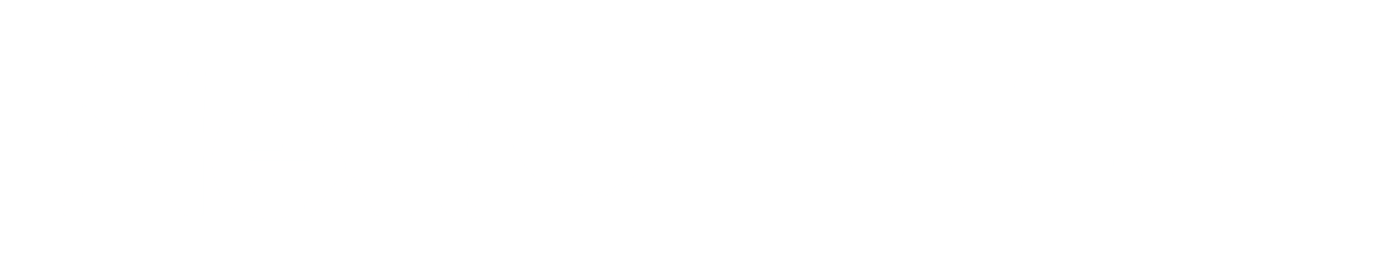 Next Wave Services