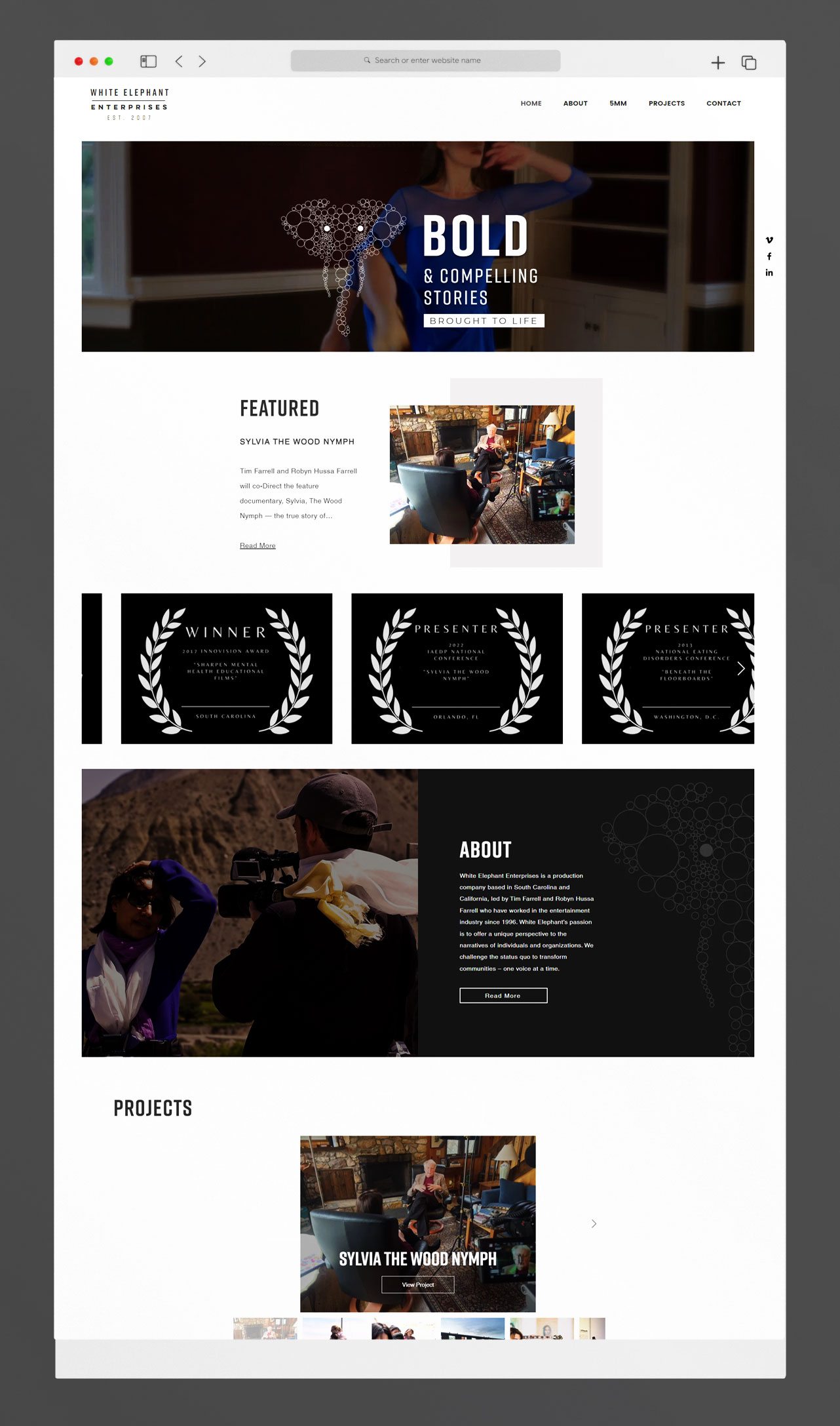 Website design project 2