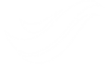 Website Maintenance | Next Wave Services | White Wave