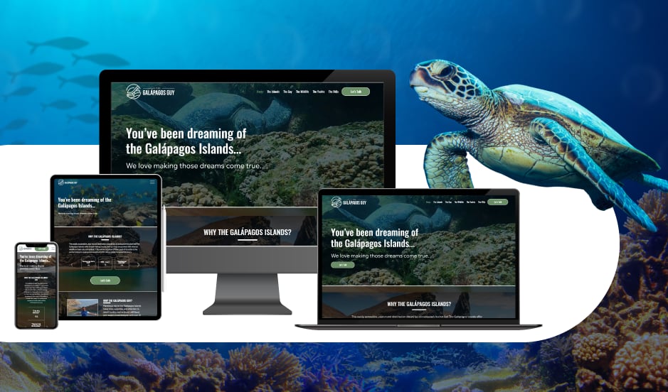 Navigating the Waves of Creativity: A Case Study on Crafting The Galapagos Guy's Website