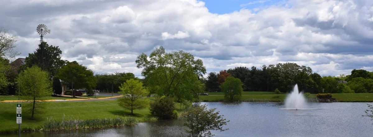 Revitalizing Ashburn Farm Association’s Digital Presence with Next Wave