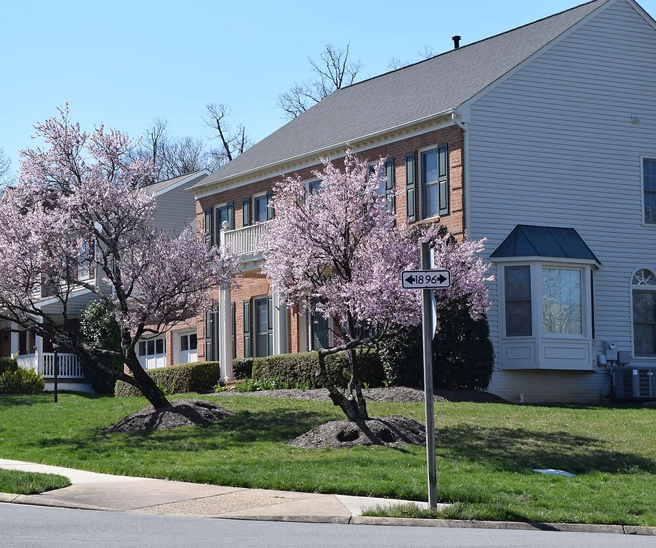 Ashburn Farm Association